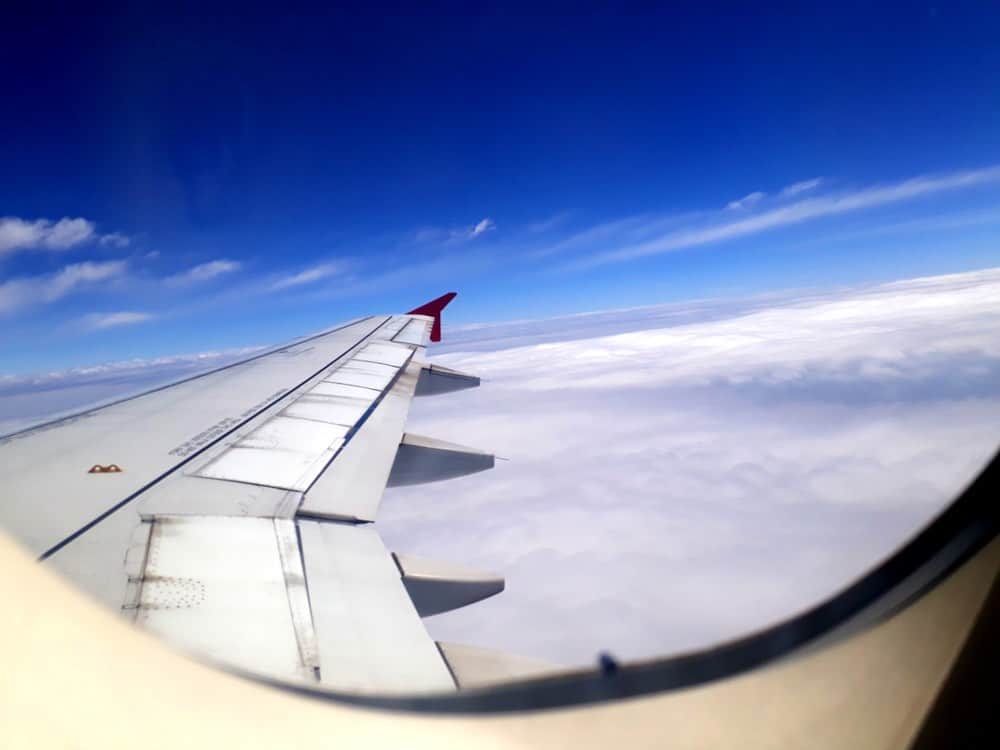 flight to the skies